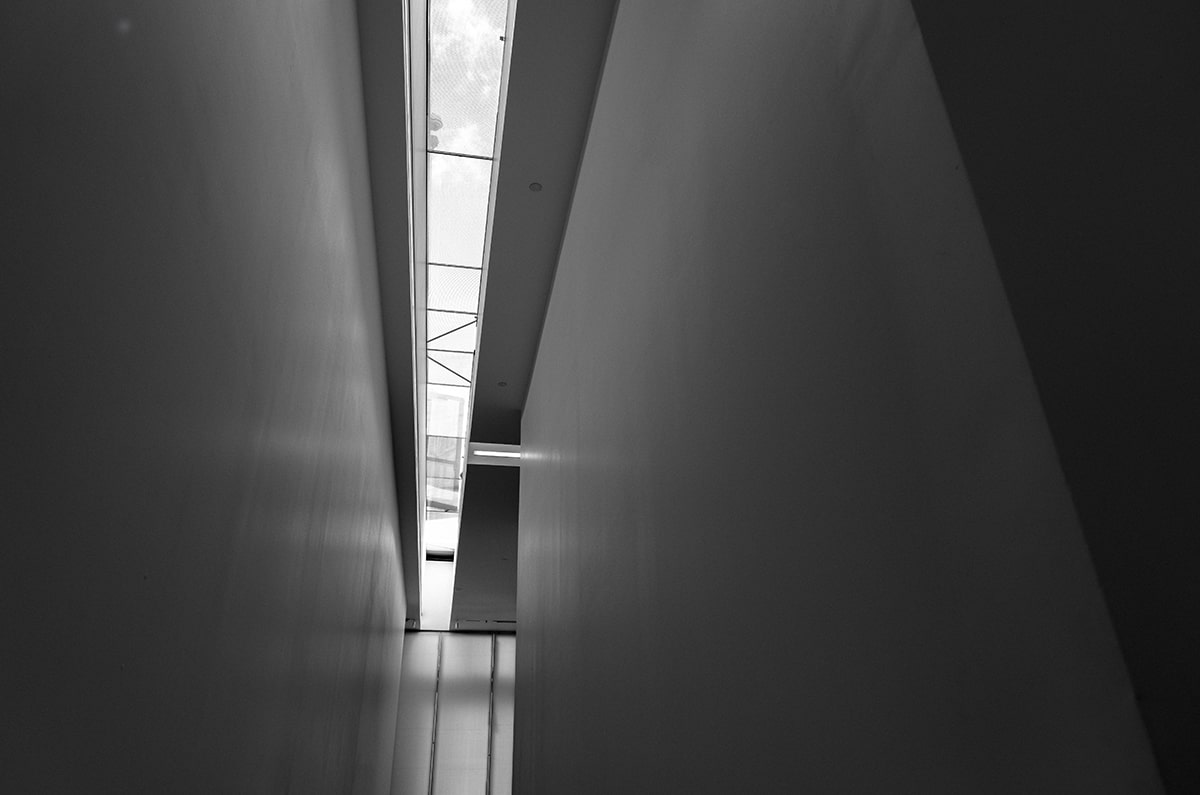 推特大神在网络中的讨论表现，推特大神落网了