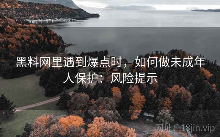 黑料网里遇到爆点时，如何做未成年人保护：风险提示