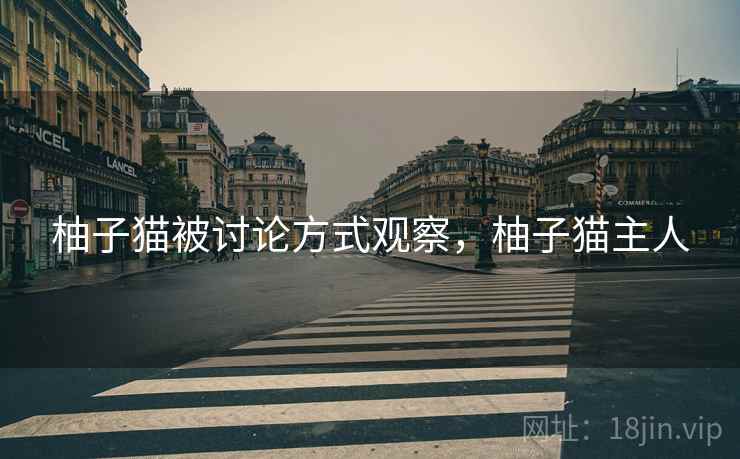 柚子猫被讨论方式观察,柚子猫主人 柚子猫被讨论方式观察,柚子猫主人