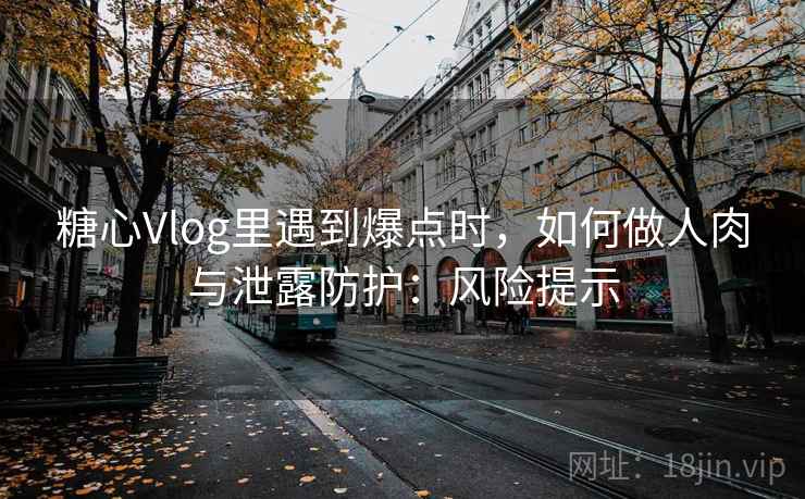 糖心Vlog里遇到爆点时,如何做人肉与泄露防护:风险提示 糖心Vlog里遇到爆点时,如何做人肉与泄露防护:风险提示