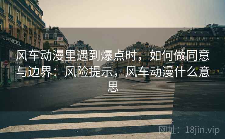 风车动漫里遇到爆点时，如何做同意与边界：风险提示，风车动漫什么意思
