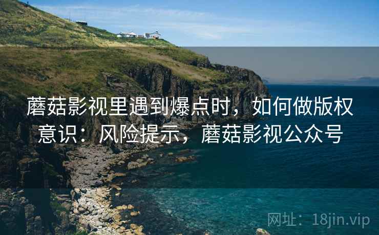 蘑菇影视里遇到爆点时,如何做版权意识:风险提示,蘑菇影视公众号 蘑菇影视里遇到爆点时,如何做版权意识:风险提示,蘑菇影视公众号